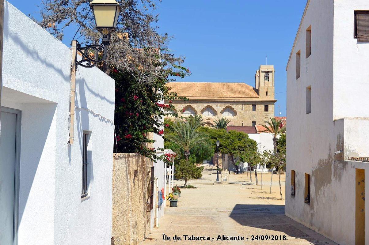 21 ALICANTE L ILE DE TABARCA (157).JPG